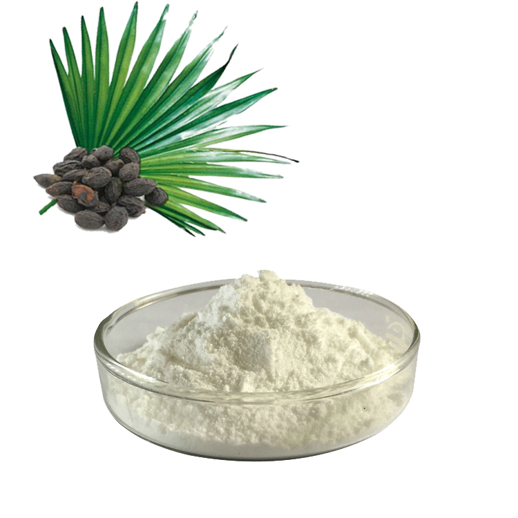 Hva er Saw Palmetto Extract? Og hva er fordelene med Saw Palmetto Extract?